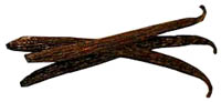 Madagascar Vanilla Beans