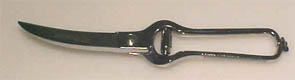 Poultry & Fish Shears