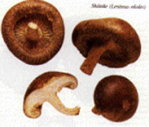 Select #1 Grade Shitake Mushrooms