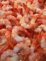 Shrimp Seafood Buffet